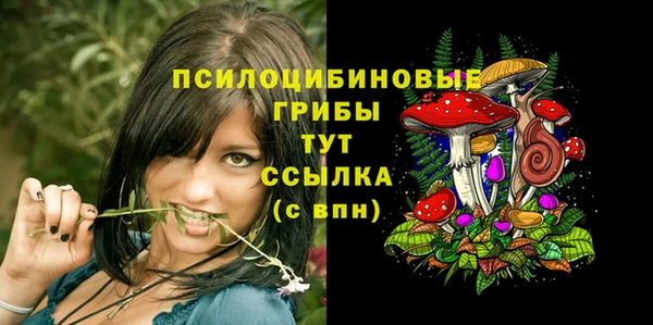 не бодяженный Верхний Тагил