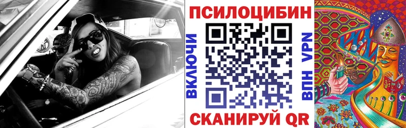 Купить где  Анжеро-Судженск  Псилоцибиновые грибы Psilocybe 